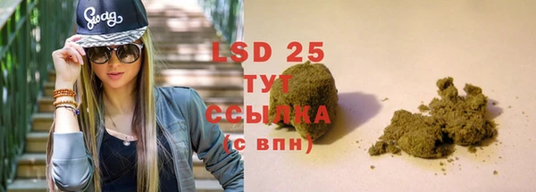 прущие грибы Алексеевка