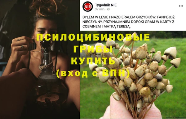 первитин Алзамай
