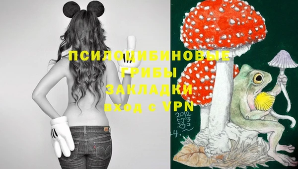 эйфоретик Ростов