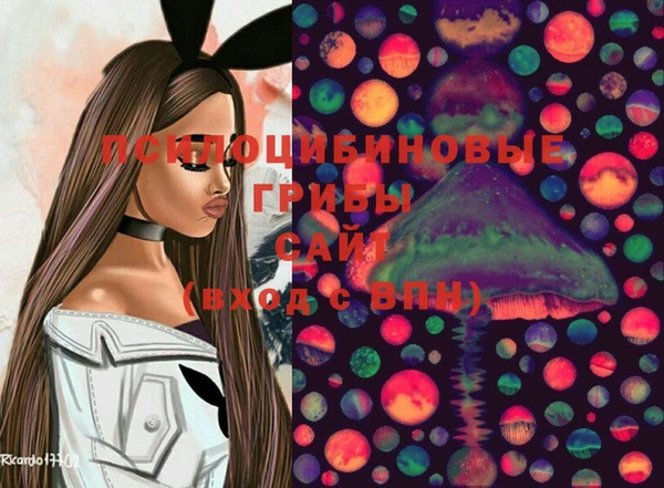 прущие грибы Алексеевка
