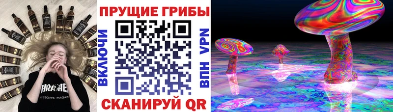 Псилоцибиновые грибы ЛСД Змеиногорск