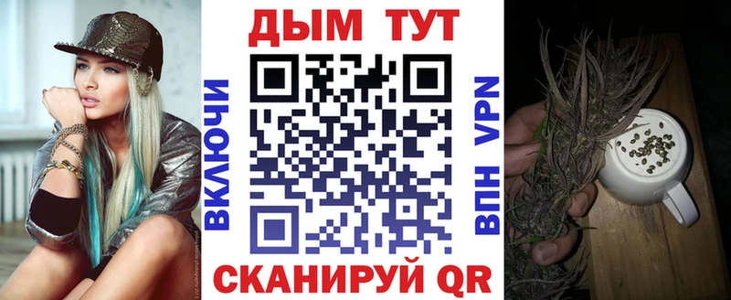 Бошки марихуана SATIVA & INDICA сколько стоит Змеиногорск